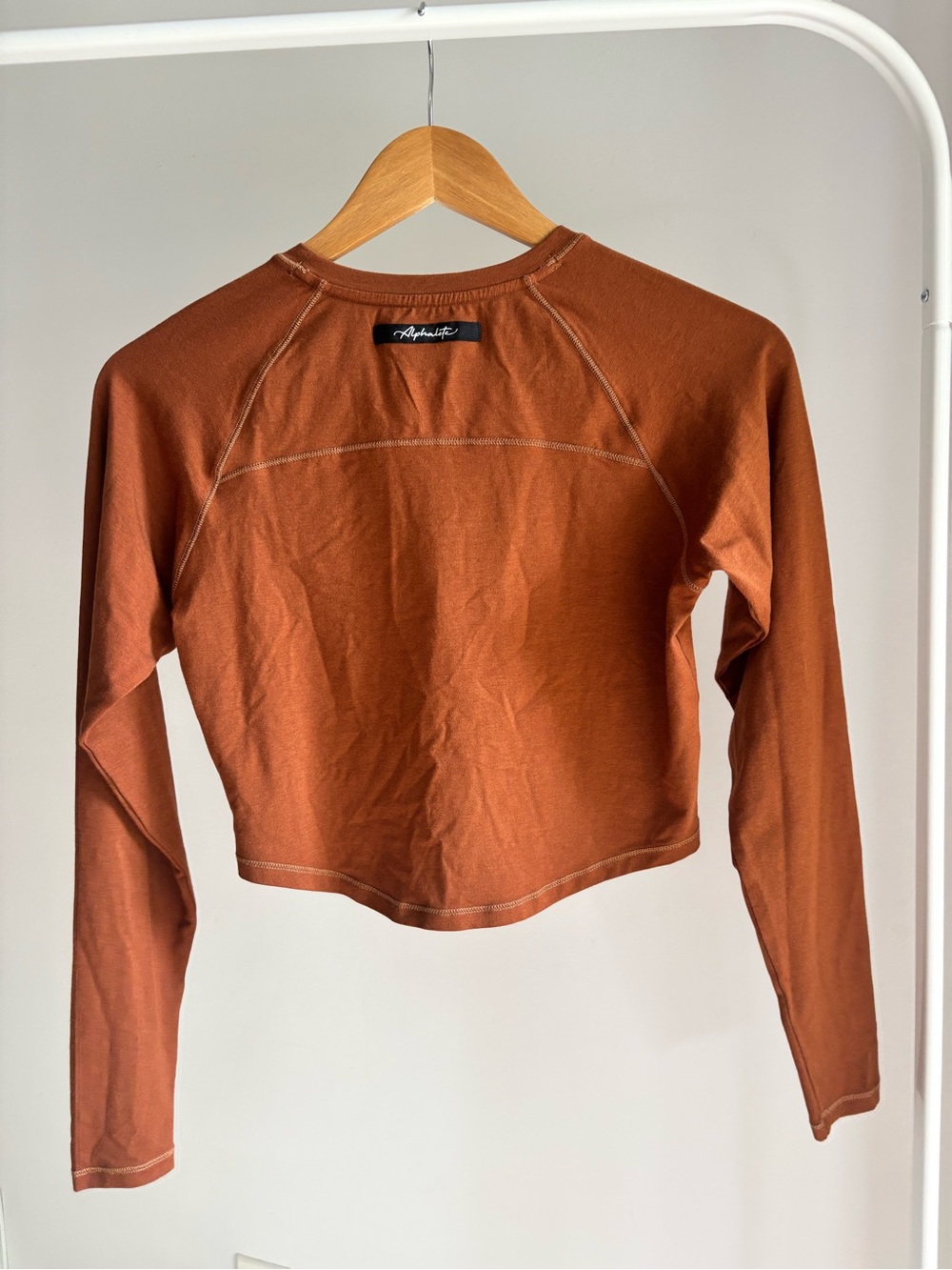 Alphalete Rust Long Sleeve Crop Top